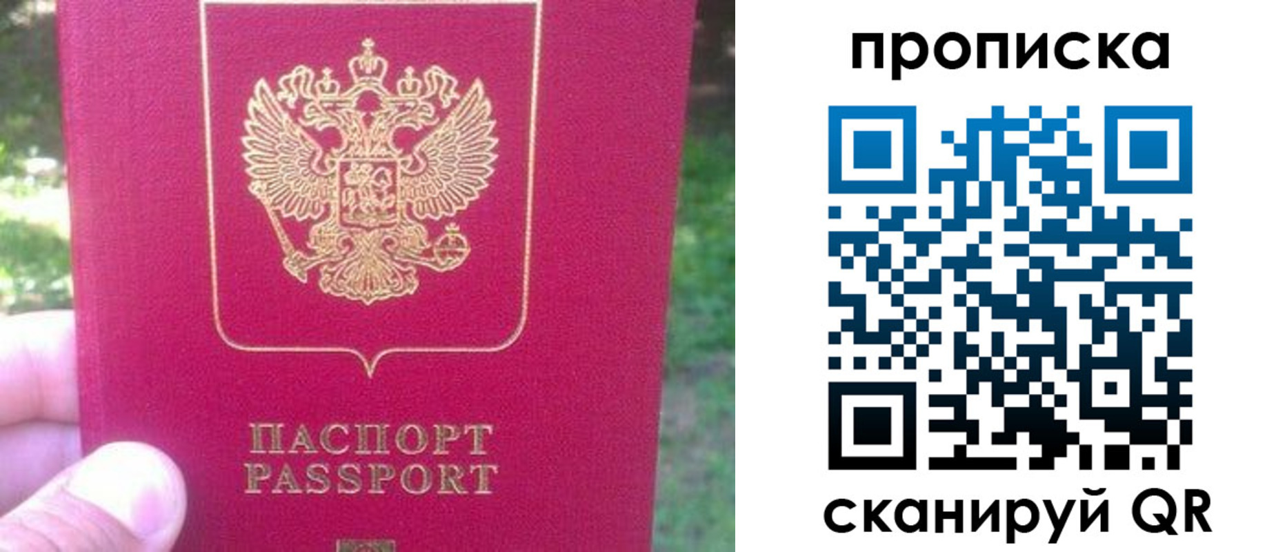 прописка законно в Владимире